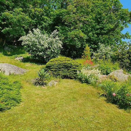 Bed and Breakfast Le Jardin Des Roches Moigny Екстер'єр фото