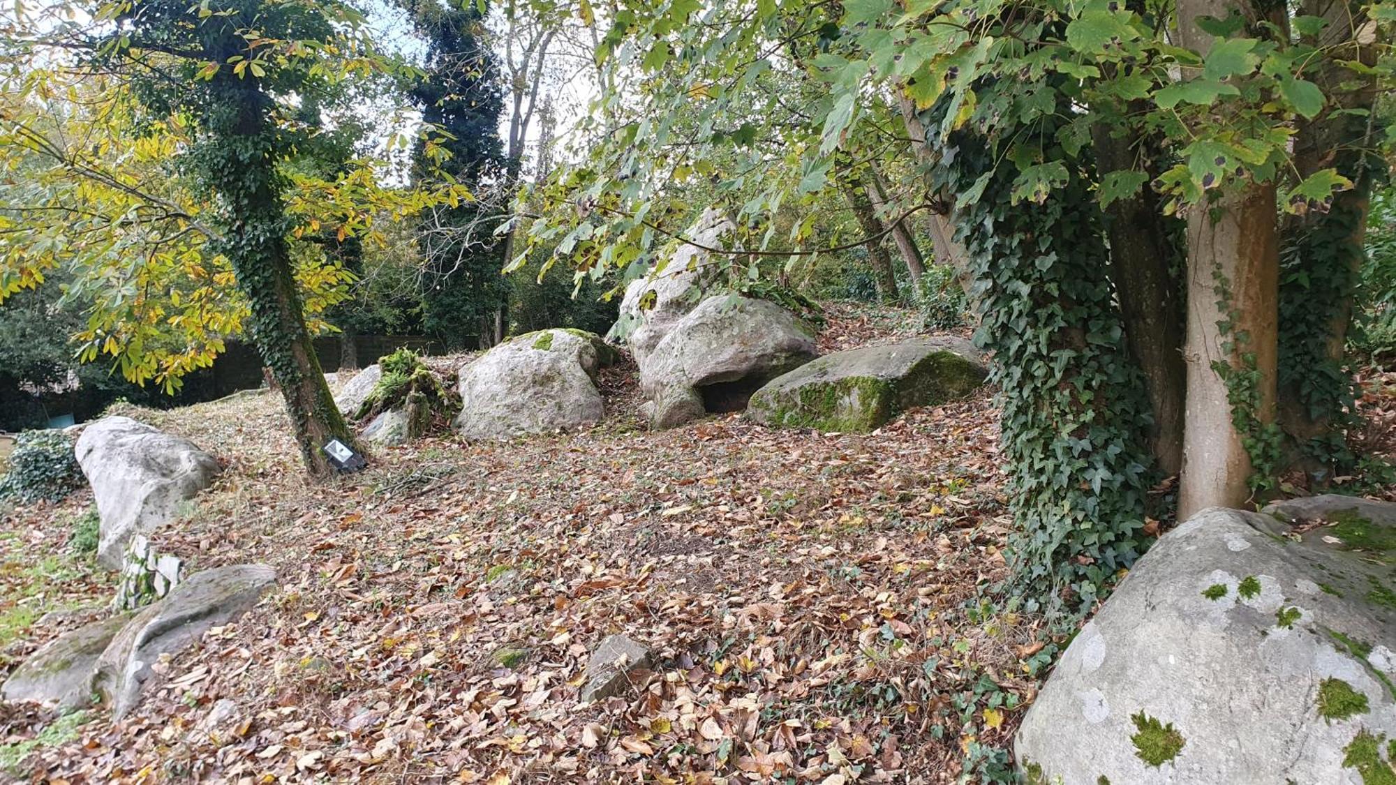 Bed and Breakfast Le Jardin Des Roches Moigny Екстер'єр фото